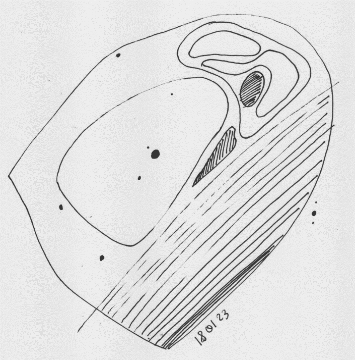 A drawing of a structure